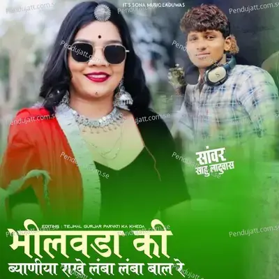 Bhilwada Ki Biyaniya Rakhe Lamba Lamba Bal Re - Sanwar Sahu Laduwash album cover 