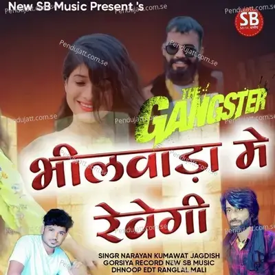 Bhilwada Mein Revegi - Narayan Kumawat album cover 