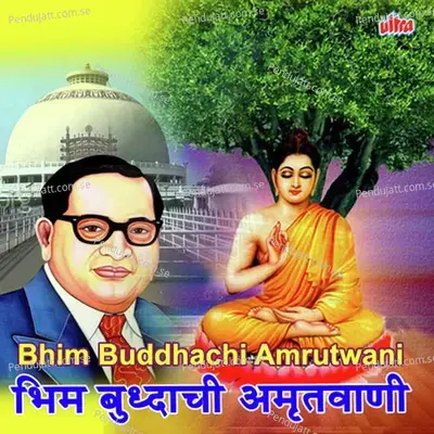 Buddh Vihari Jate - Sushma Devi album cover 