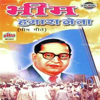 Gaa Bhim Ka Naam - Nitin Diskalkar album cover 