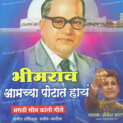 Tujha Ghrat Bhimacha - Minal Somkunvar album cover 