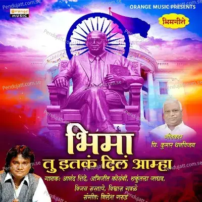 Bhima Tu Itka Dila Amha - Anand Shinde album cover 