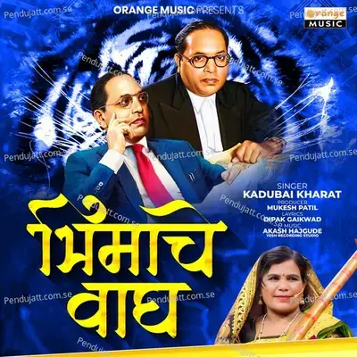 Bhimache Wagh - Kadubai Kharat album cover 