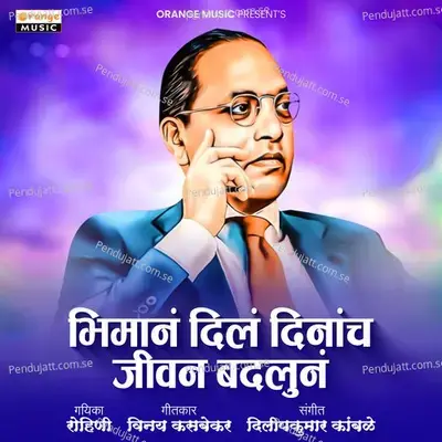 Bhimana Dila Dinancha Jiwan Badlun - Rohini album cover 