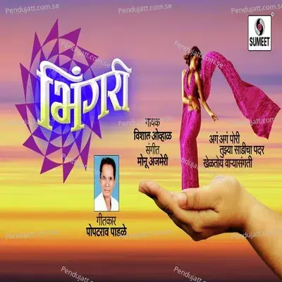 Bhingari - Vishal Ovhal album cover 