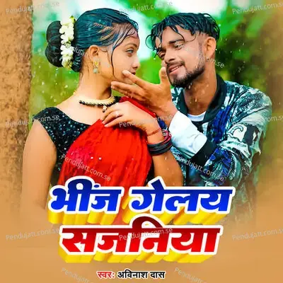 Bhinj Gelay Sajaniya - Avinash Das album cover 