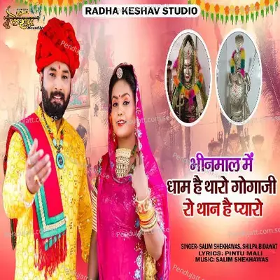 Bhinmal Me Dham Hai Tharo Gogaji Ro Than Hai Pyaro - Salim Shekhawas
