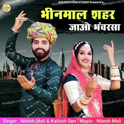 Bhinmal Shahar Jao Bhanwar Sa - Nitesh Mali album cover 