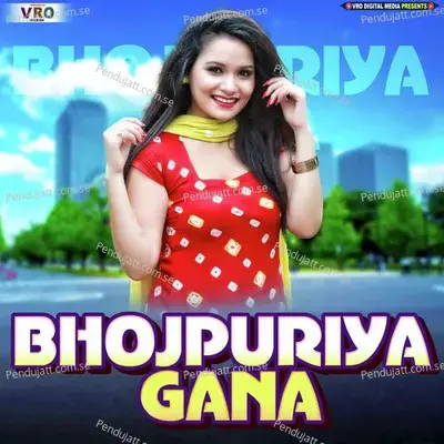 Hamra La Cooler Lagwadi Raja Ji - Shilpi Raj album cover 