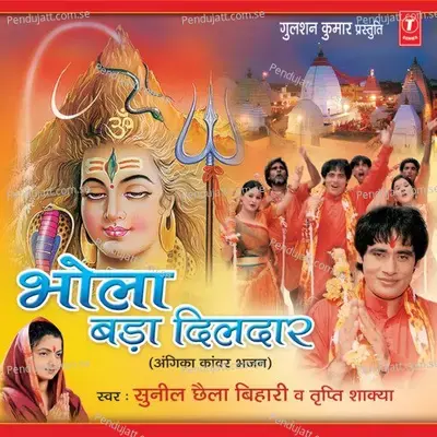 O Kailashi  Ghat - Ghat Wasi - Sunil Chhaila Bihari album cover 