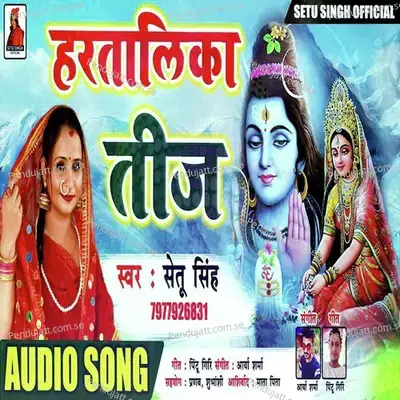 Bhola Ho Kaile Bani Teej Ke Tyohar - Setu Singh album cover 