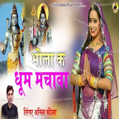 Bhola Ka Dhum Machawa - Anil Chandela album cover 