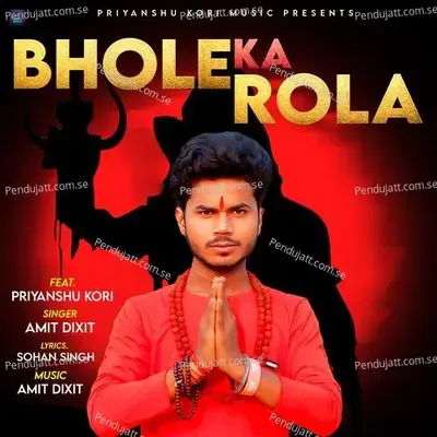 Bhola Ka Rola - Amit Dixit album cover 