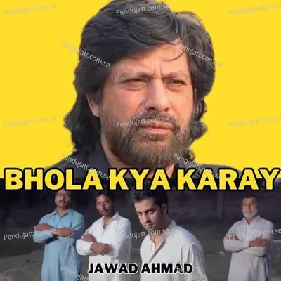 Bhola Kya Karay - Jawad Ahmad album cover 