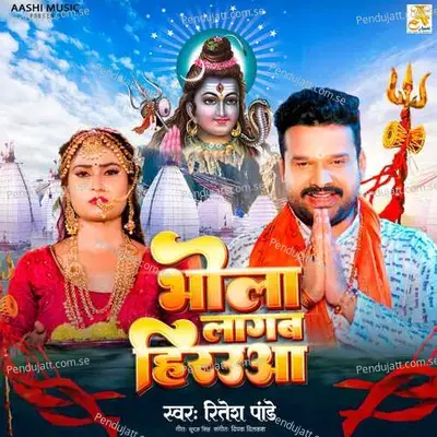 Bhola Lagab Heraua - Ritesh Pandey album cover 