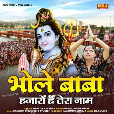 Bhole Baba Hazaro Hai Tera Naam - SWASTIKA MISHRA album cover 