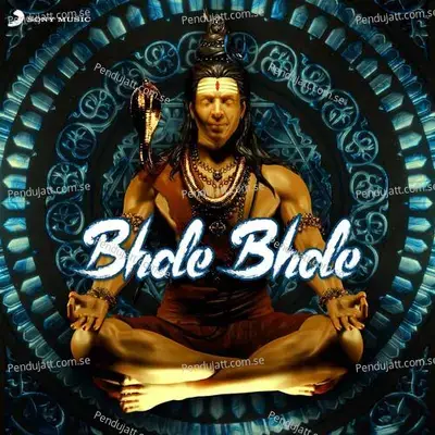 Bhole Bhole - Swami Shri Padmanabh Sharan album cover 