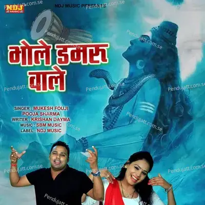 Bhole Damru Wale - Mukesh Fauji album cover 