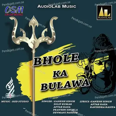 Jai Ho Bam Bam Bhole - Devmani Pandey album cover 