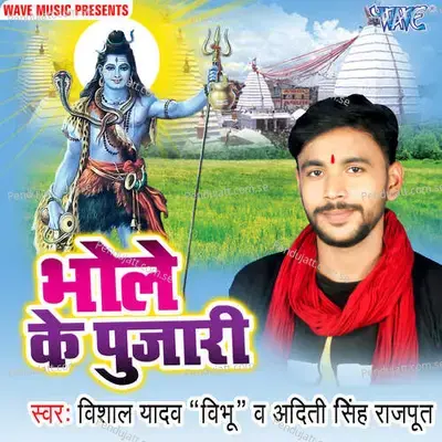 Mijaj Ho Jao Taja - Vishal Yadav Vibhu album cover 