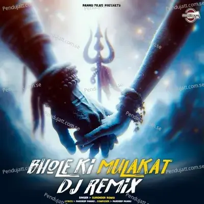 Bhole Ki Mulakat Dj Remix - Surender Romio album cover 