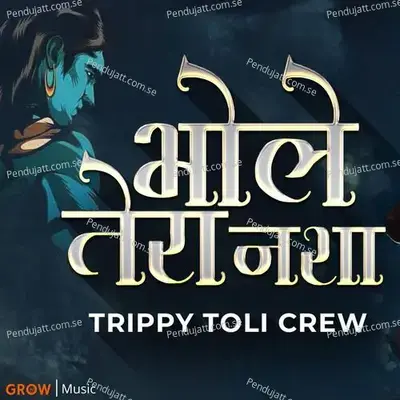 Bhole Tera Nasha   With Power46  Sychodeeps  Amp  Pintya   Vishal Mayekar Remix - TRIPPY TOLI album cover 