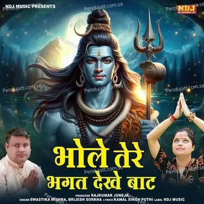 Bhole Tere Bhagat Dekhe Baat - Brijesh Sorkha album cover 