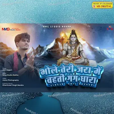 Bhole Teri Jta Me Behti Gang Dhara - Anil Nagori album cover 