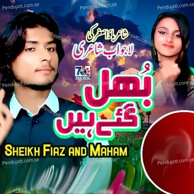 Bholl Gay Haye - Sheikh Fiaz album cover 