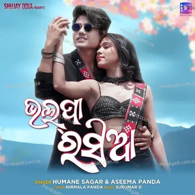 Bholpa Rasiya - Humane Sagar album cover 