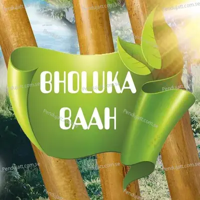 Bholuka Baah - Nirudpal Bharali album cover 