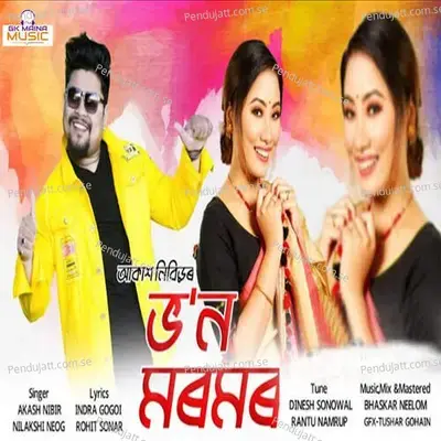 Bhono Moromor - Akash Nibir album cover 