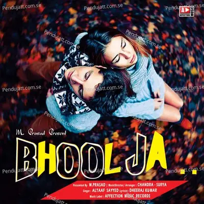 Bhool Ja - Altaaf Sayyed album cover 