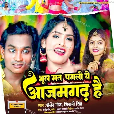 Bhool Mat Pagli Ye Azamgarh Hai - Shailendra Gaur album cover 