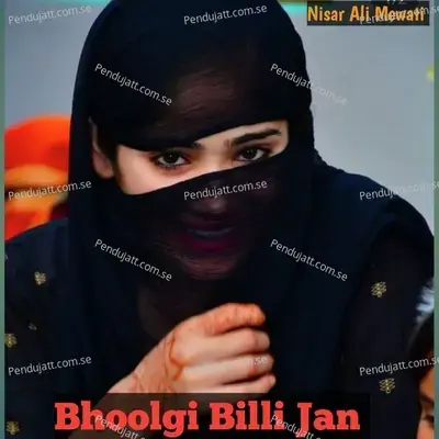 Bhoolgi Billi Jan - Nisar Ali Mewati album cover 