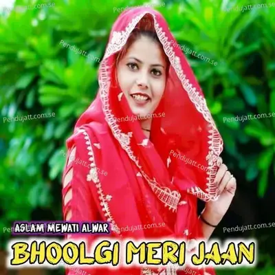 Bhoolgi Meri Jaan - Aslam Mewati Alwar album cover 