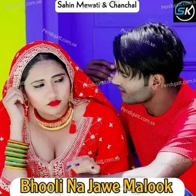 Bhooli Na Jawe Malook - Sahin Mewati album cover 