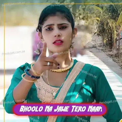 Bhoolo Na Jawe Tero Naam - Aslam Singer Mewati album cover 