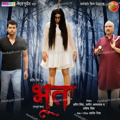 Bhai Ke Farz Nibhaib - Priyanka Singh album cover 