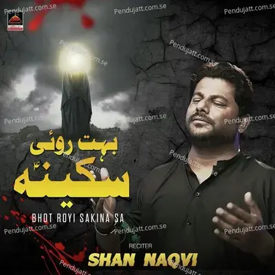 Karbala Tere Daman Mein - Shan Naqvi album cover 