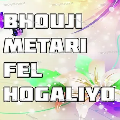 Bhouji Metari Fel Hogaliyo - Raman Kumar album cover 