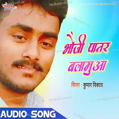 Nagina Lagal Nathuni - Kumar Vikash album cover 