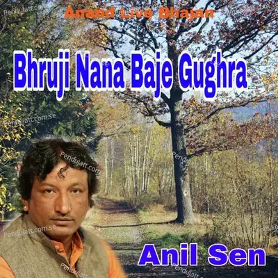 Bhruji Nana Baje Gughra - Anil Sen album cover 