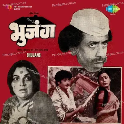 Bhujang - Vishwanath More cover album