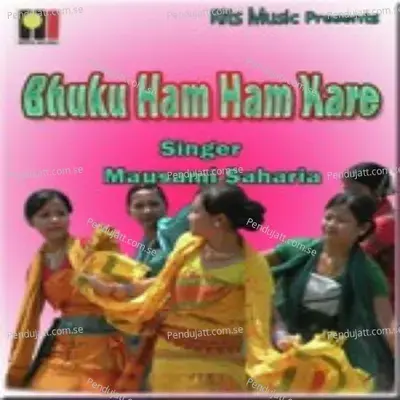 Buku Hum Hum - Mausami Saharia album cover 