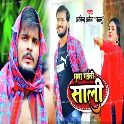 Bhula Gaili Saali - Arvind Akela album cover 
