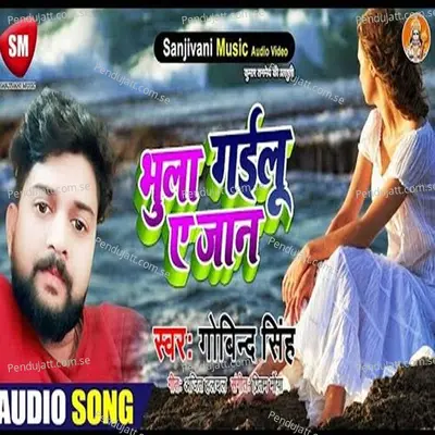 Bhula Gailu A Jaan - Govind Singh album cover 