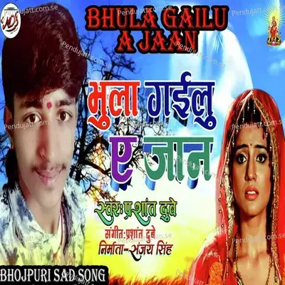 Bhula Gailu Ye Jaan - Prashant Dubey album cover 