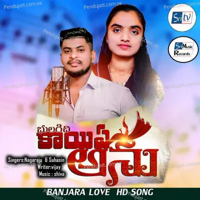 Bhulagichi Kay Ye Ye Anu Banjara Song - Nagaraju album cover 