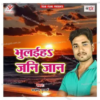 Tu Ta Bhul Jaibu Piyaba Ke Korba Me - Pradeep Sharma album cover 